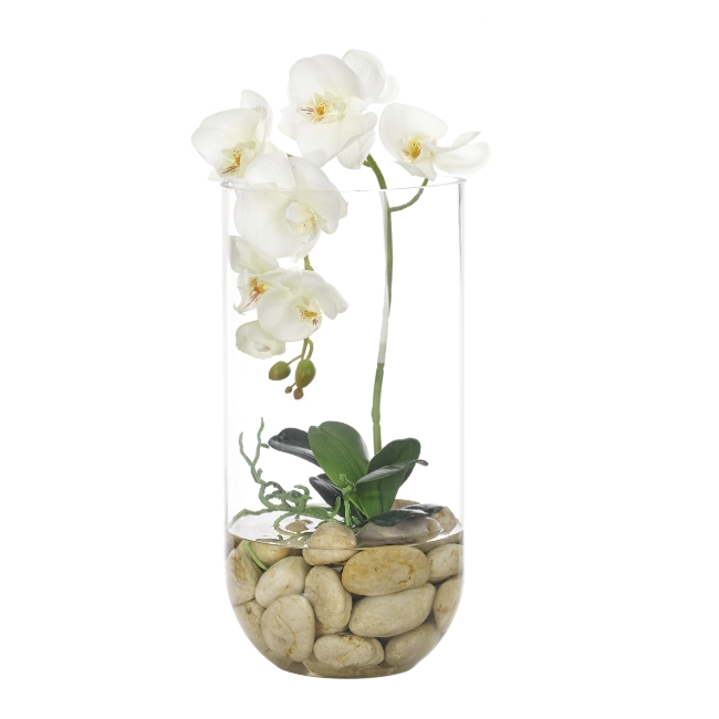 Zes Uitverkoop Handvol White Orchid w/ Glass Cylinder